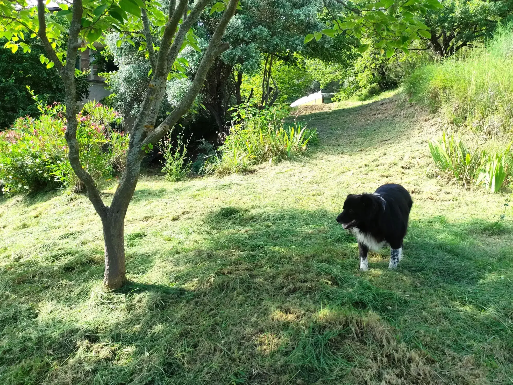 Corps de ferme en Provence à rénover avec vue panoramique à Volonne 