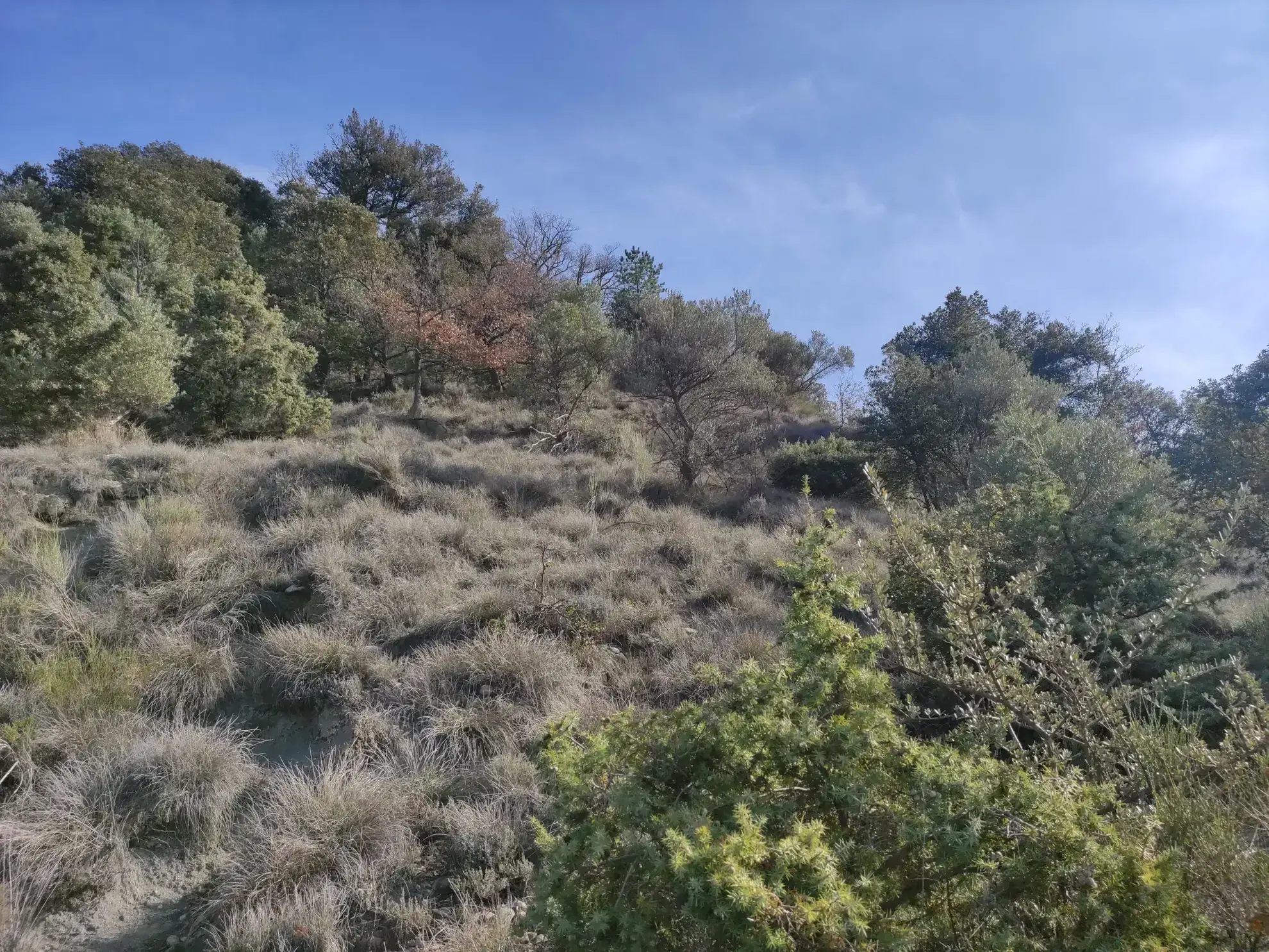 Corps de ferme en Provence à rénover avec vue panoramique à Volonne 