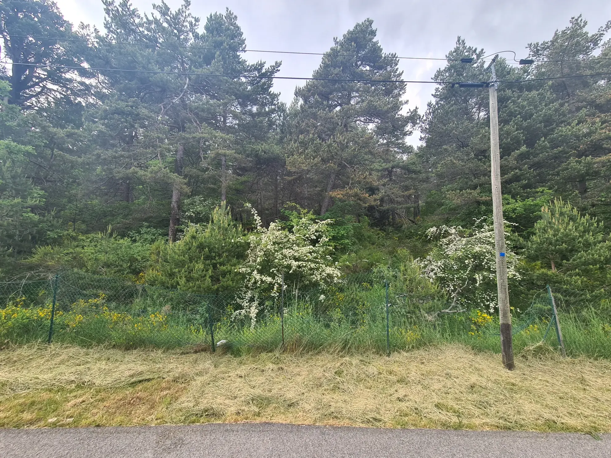 Terrain constructible de 2578 m² à Andon, secteur Thorenc - Vue montagne 