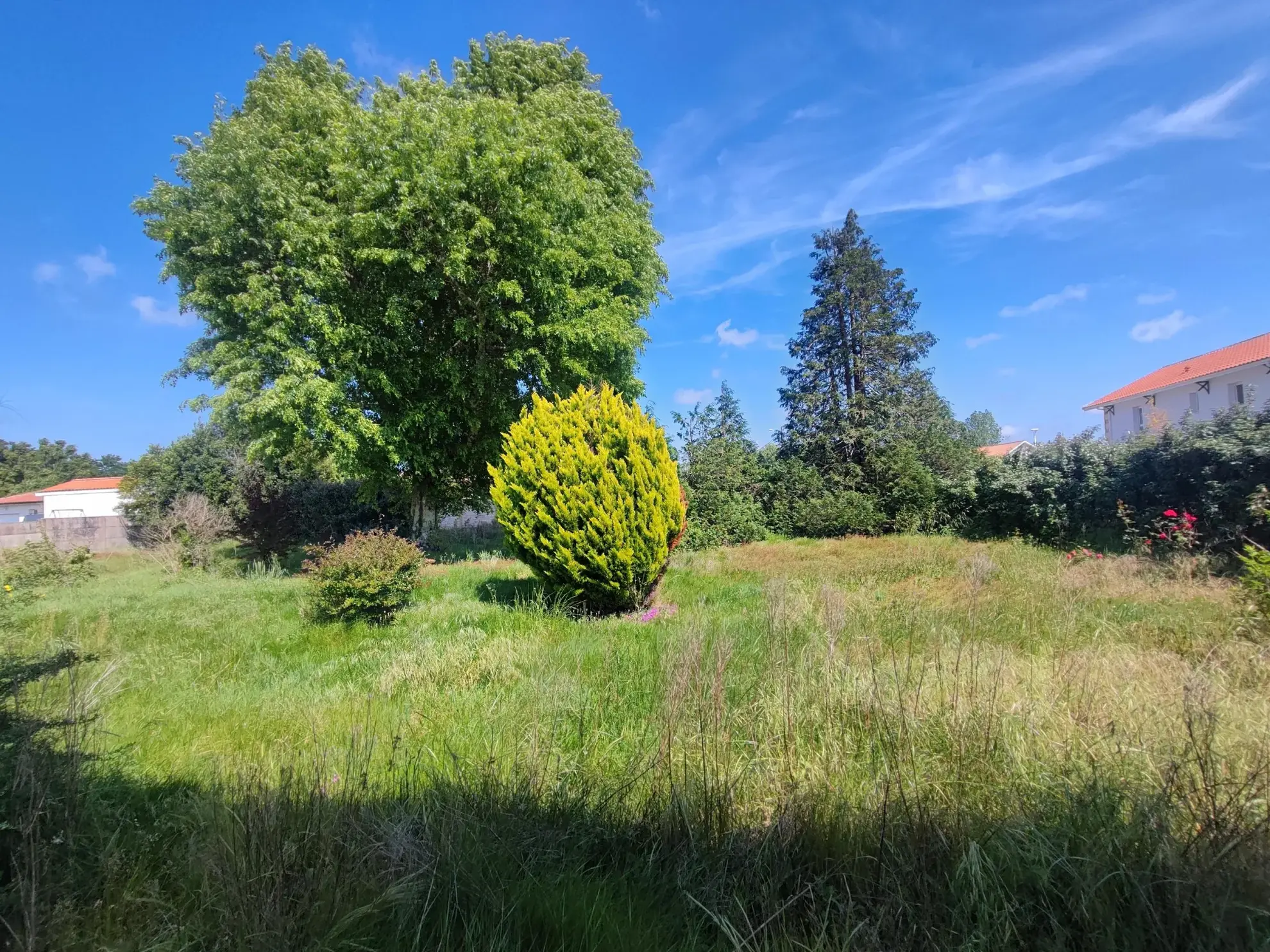 Maison traditionnelle à Juillac 78 m² avec terrain de 950 m² à rénover 