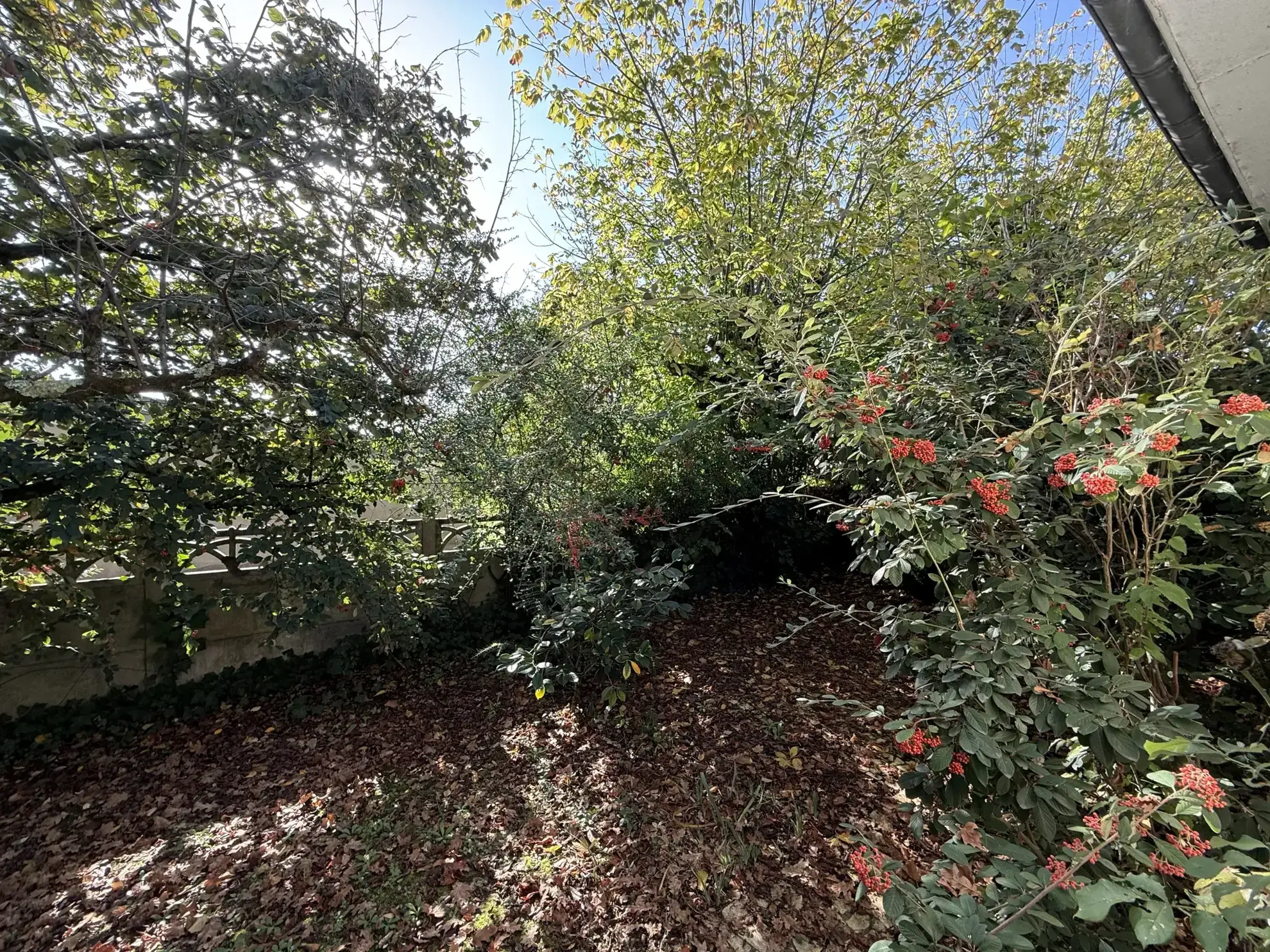 Maison à vendre à Libourne avec 5 chambres, jardin et potentiel locatif élevé 