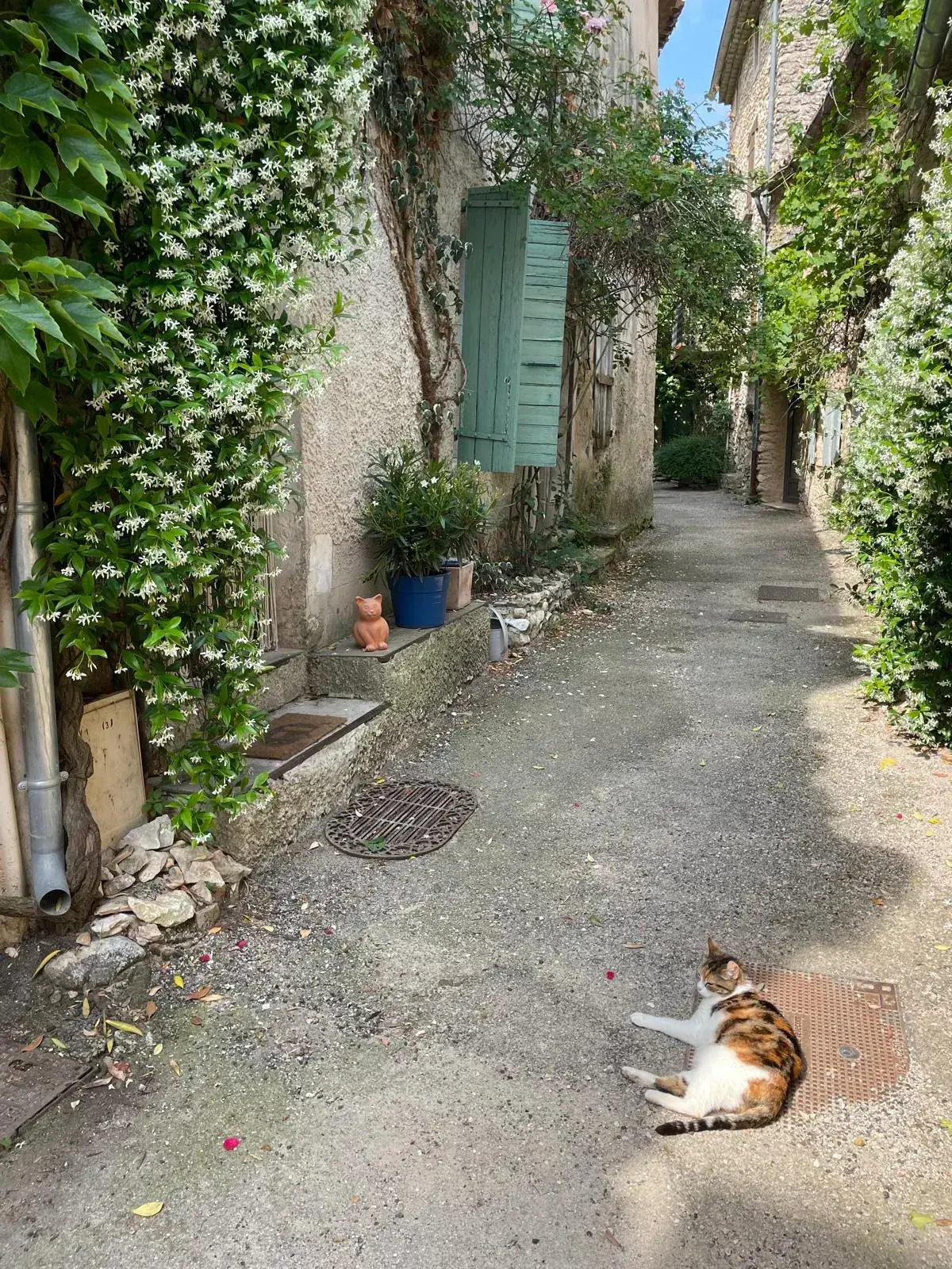 Charmante maison de village avec terrasse à Malaucène - 61 m² 