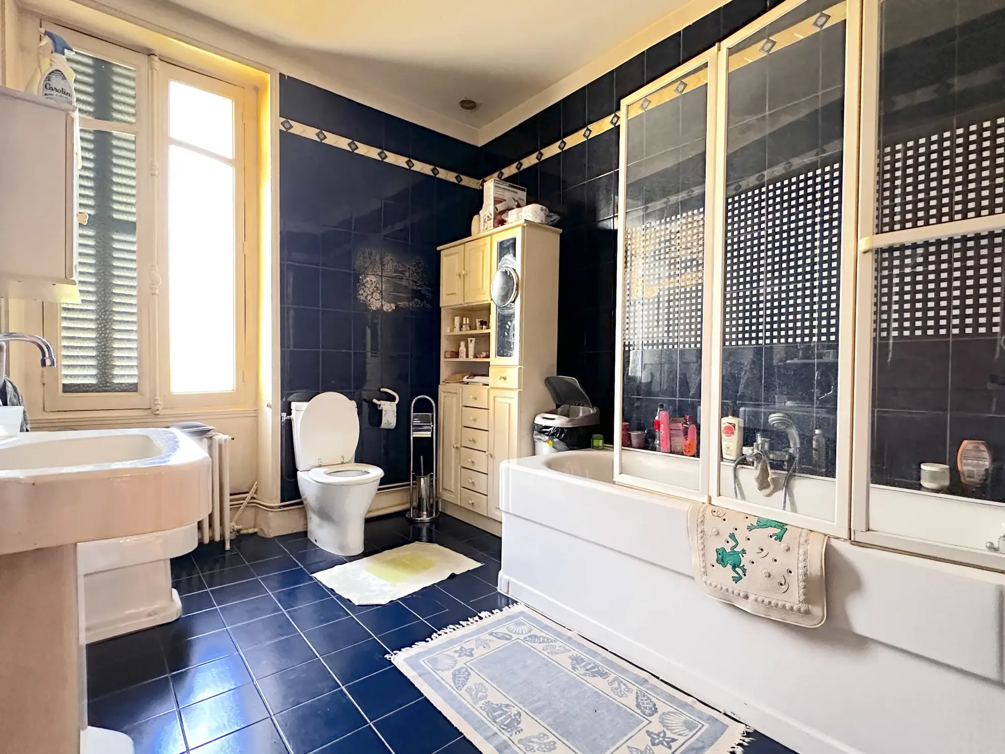 Maison de ville avec piscine au centre de Châtellerault, charme historique et grands espaces 