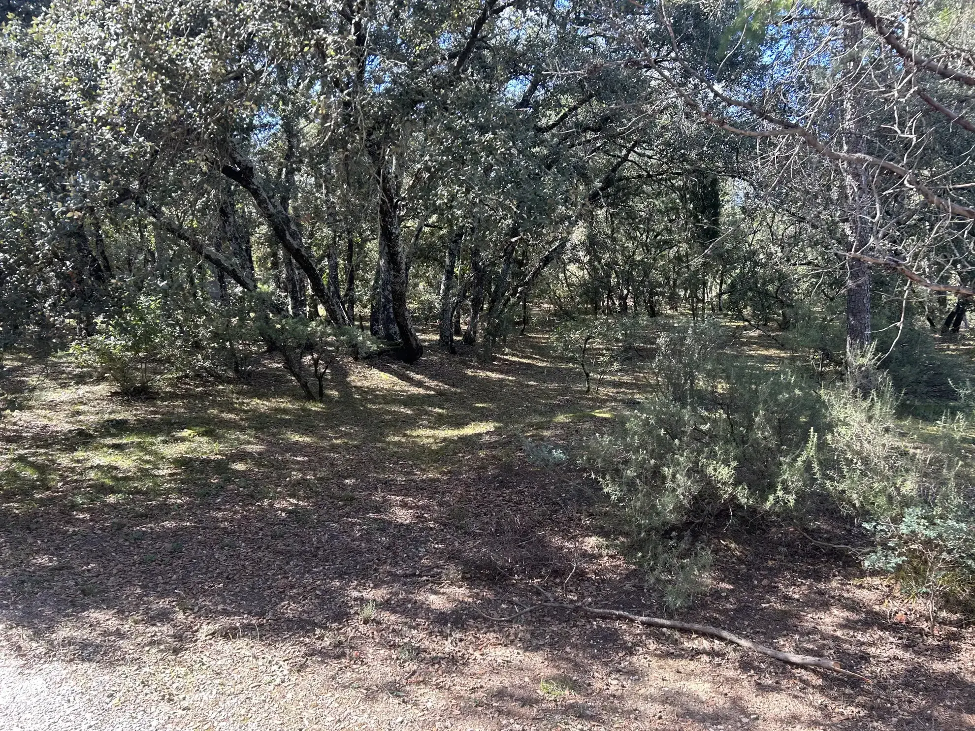 Terrain constructible de 1049 m² à Boisseron, proximité Nîmes et Montpellier 