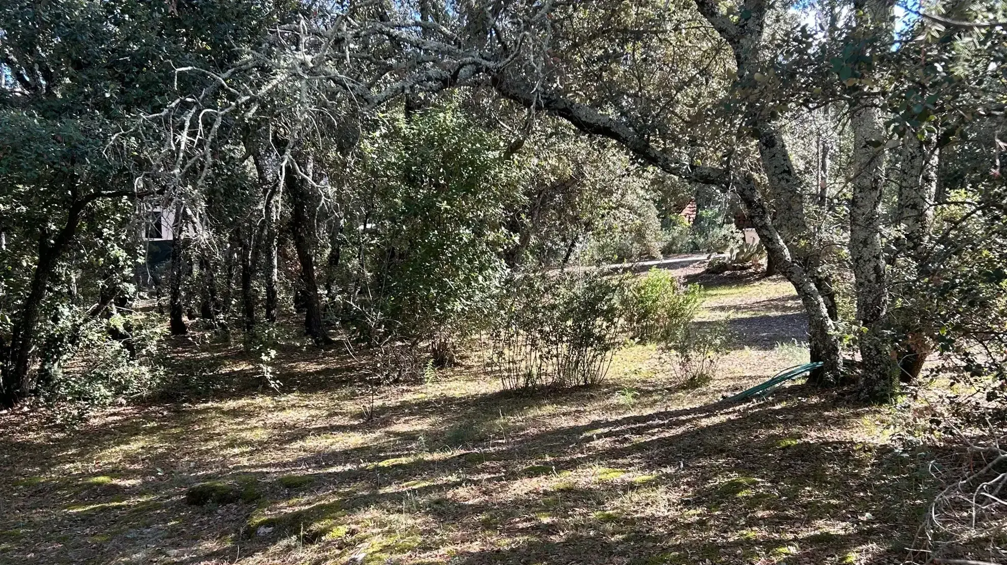 Terrain constructible de 1049 m² à Boisseron, proximité Nîmes et Montpellier 