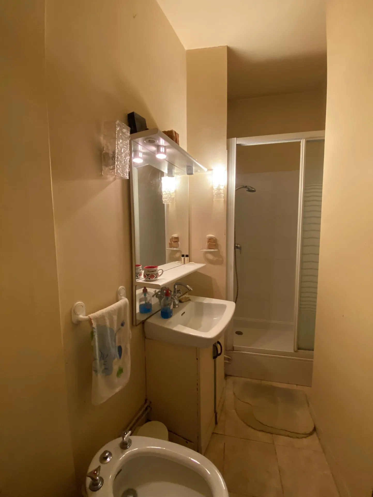 Appartement 6 pièces de 121 m² à Chatenay-Malabry avec parking et vue dégagée 