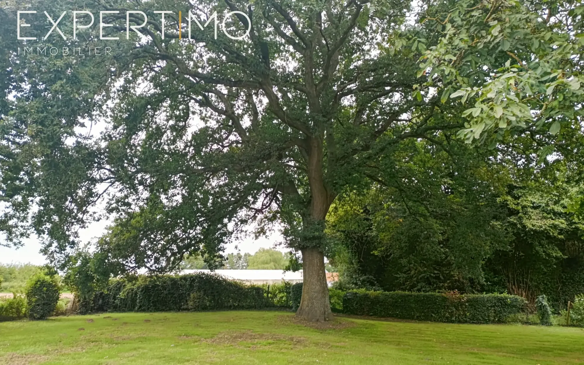 Longère rénovée avec dépendances à Bernay en Ponthieu, terrain de 2304 m² 