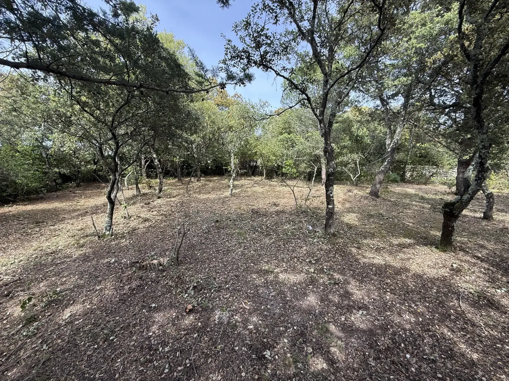 Terrain constructible de 1280 m² avec vue dégagée à Villevieille