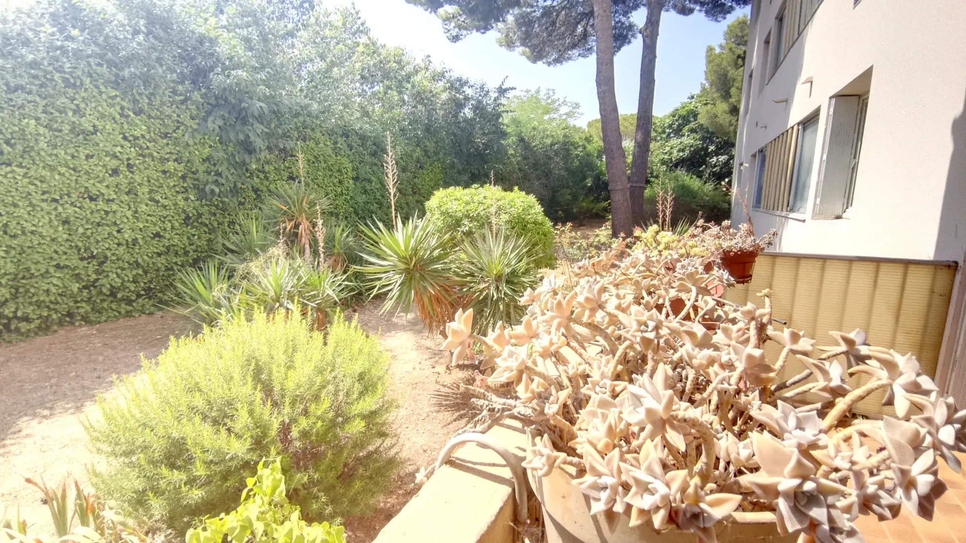 Appartement T4 de 79 m² en vente au centre de Montpellier avec garage et cave 