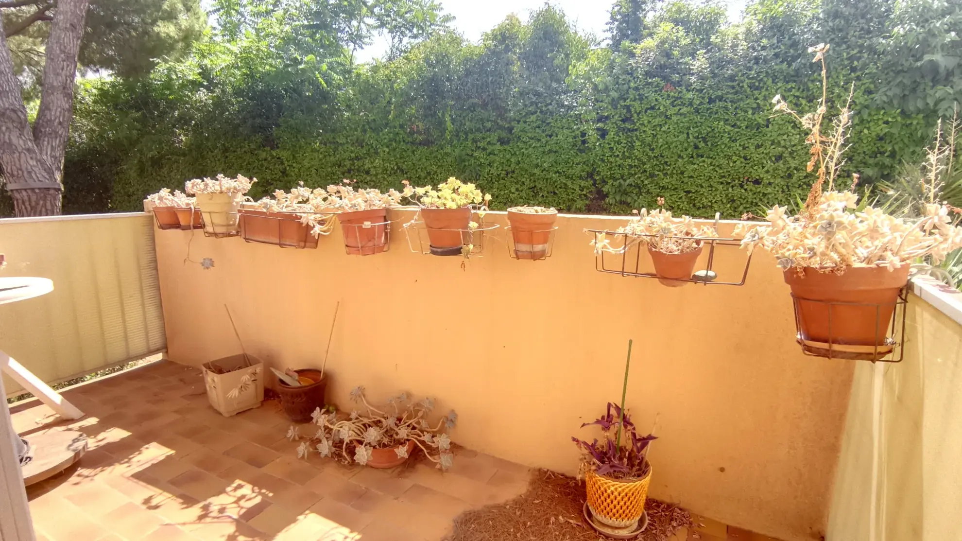 Appartement T4 de 79 m² en vente au centre de Montpellier avec garage et cave 