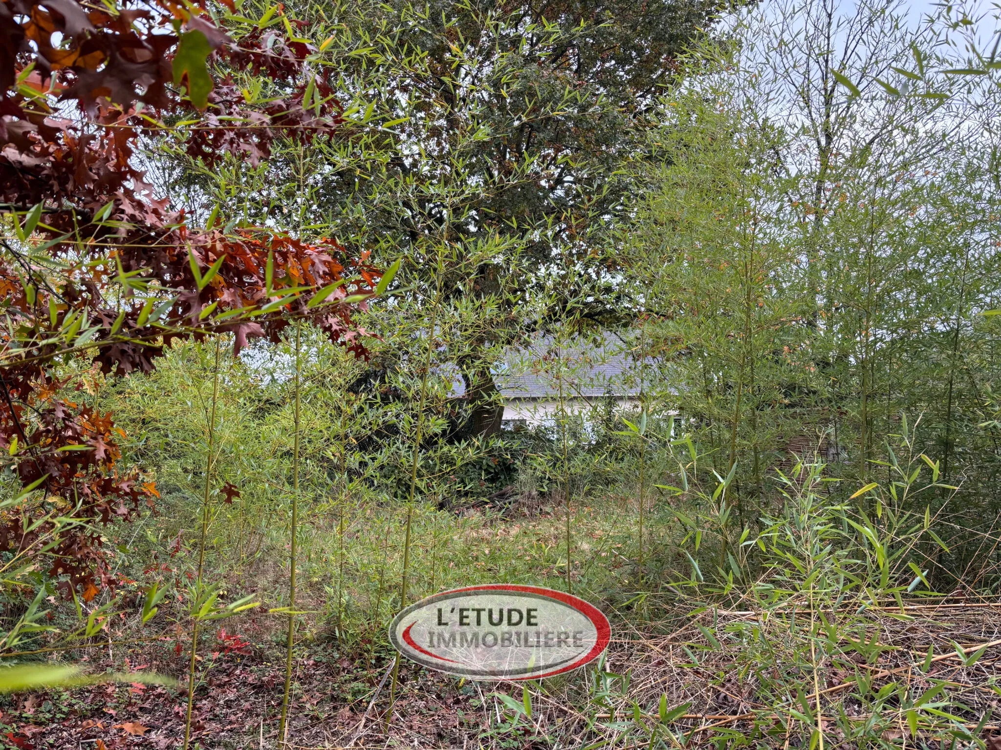 Terrain constructible de 750 m² à vendre à Carquefou en campagne 