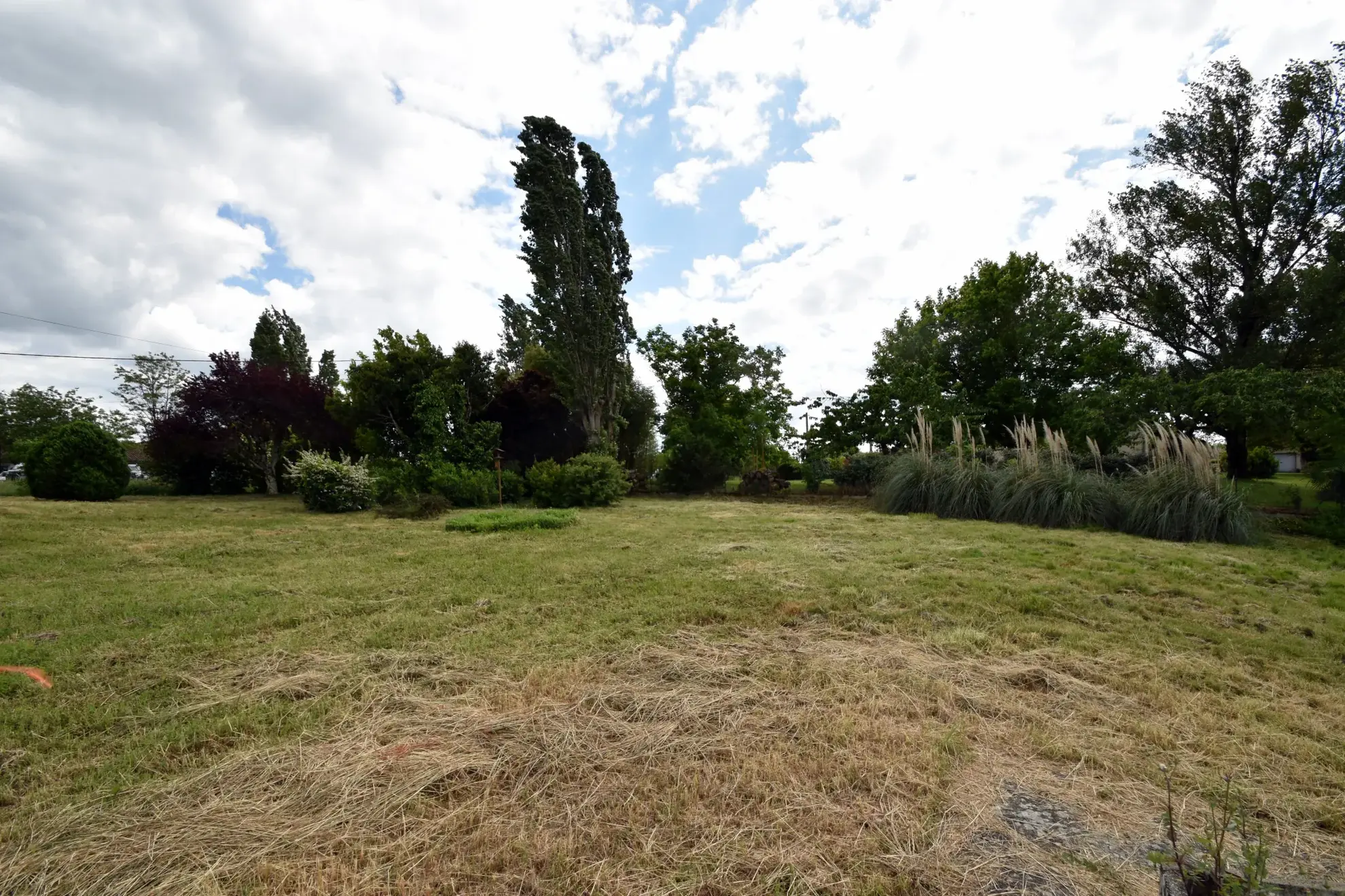 Terrain à bâtir de 1200 m² à Montauban - Viabilisé, arboré 