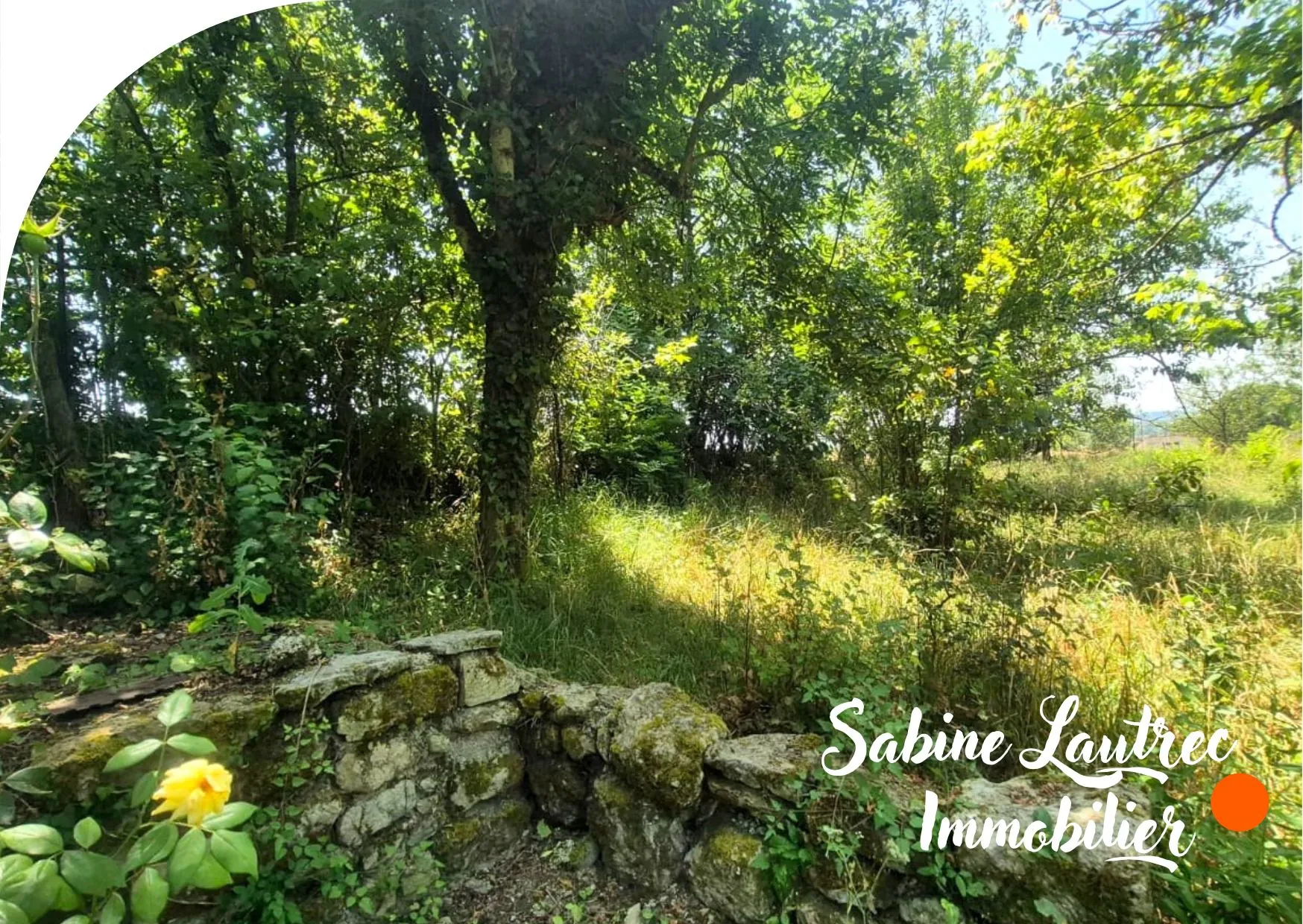 Terrain constructible de 1207 m² avec maison et dépendance en pierre à Lautrec proche Castres 