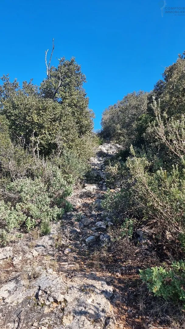 Terrain non constructible de 4818 m² à Taradeau avec vue panoramique 