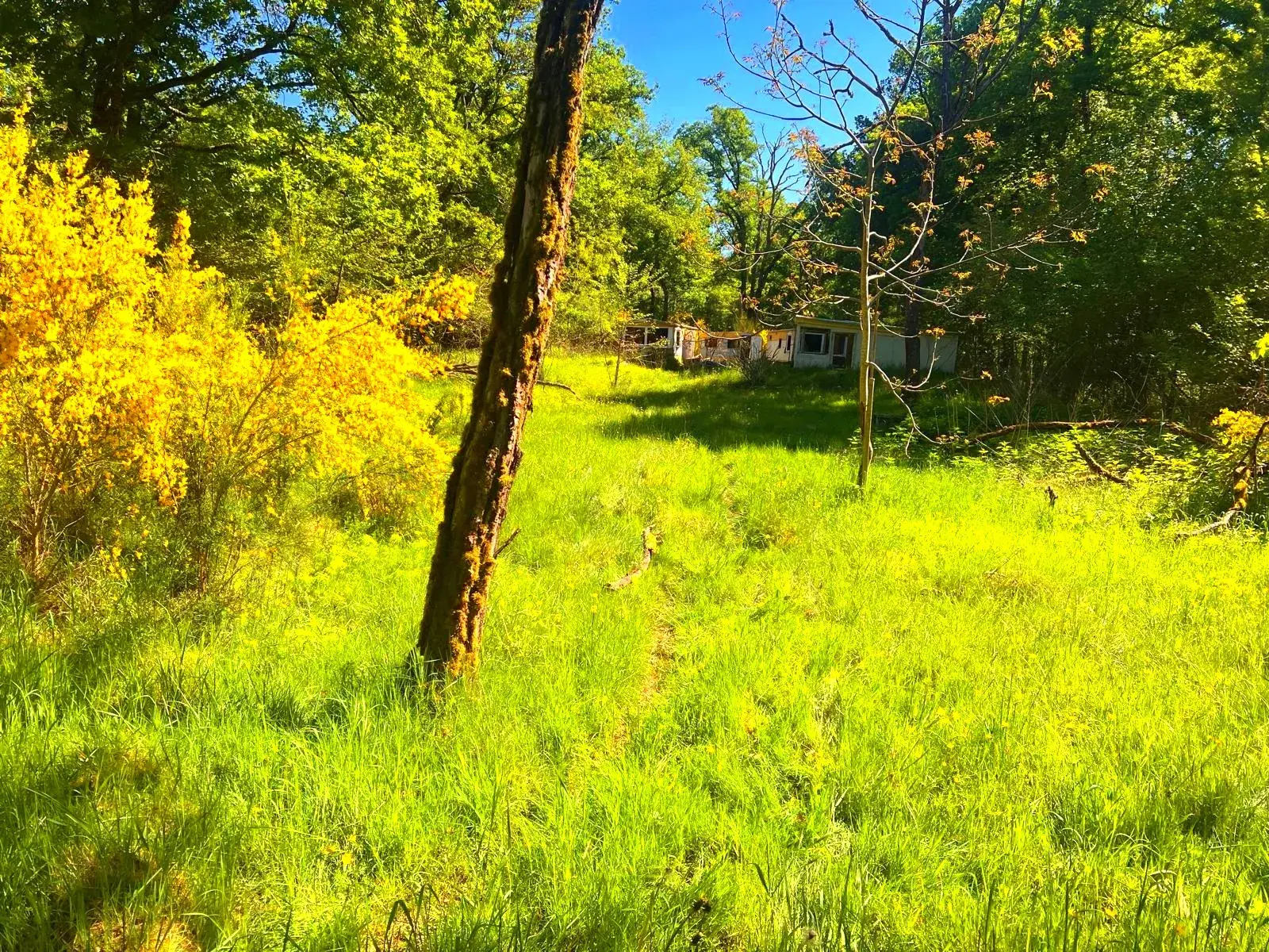 Terrain de loisirs à vendre à Germigny-des-Pres, proche de la Loire, à rénover 