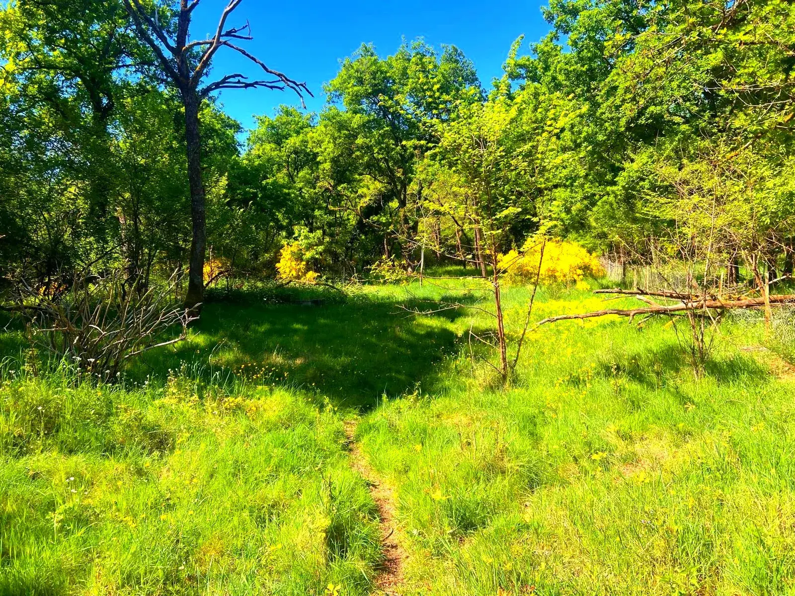 Terrain de loisirs à vendre à Germigny-des-Pres, proche de la Loire, à rénover 