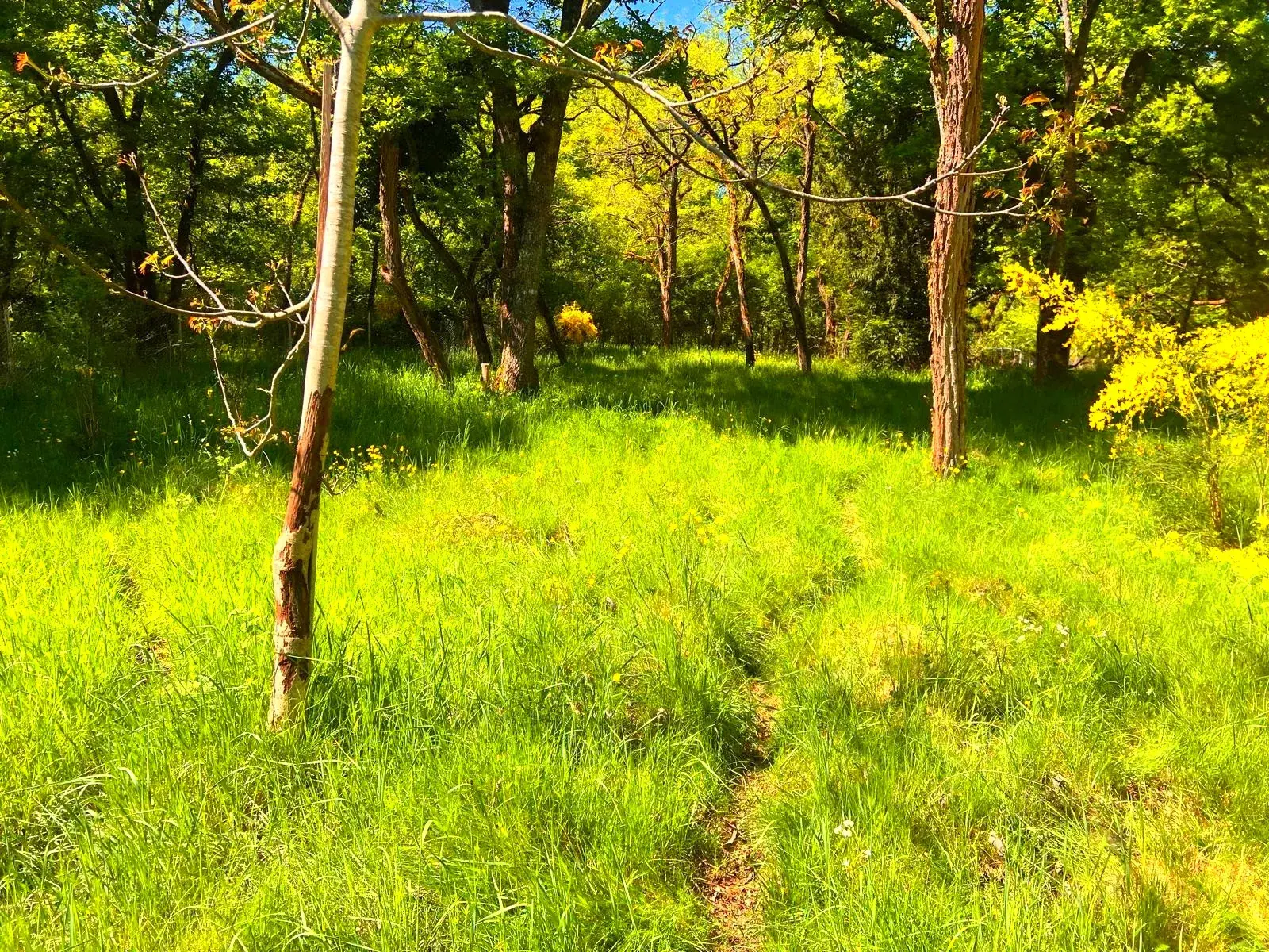 Terrain de loisirs à vendre à Germigny-des-Pres, proche de la Loire, à rénover 