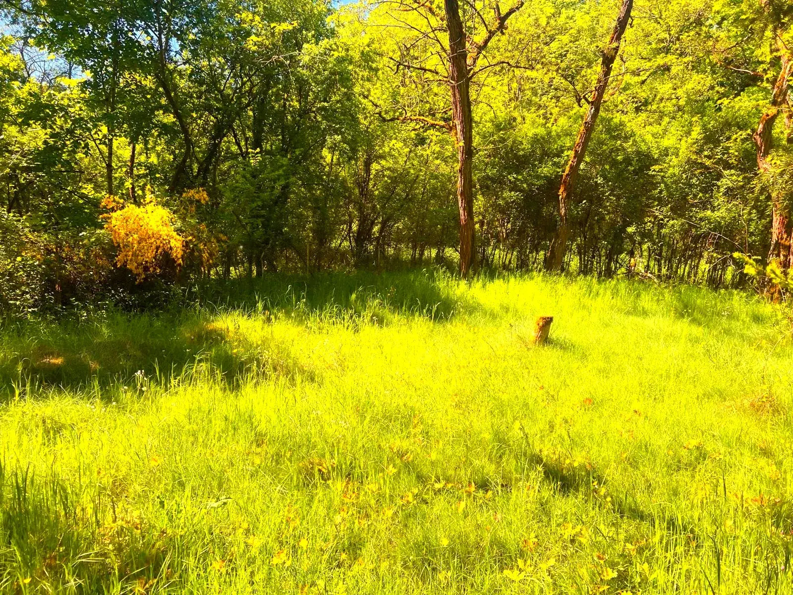 Terrain de loisirs à vendre à Germigny-des-Pres, proche de la Loire, à rénover 
