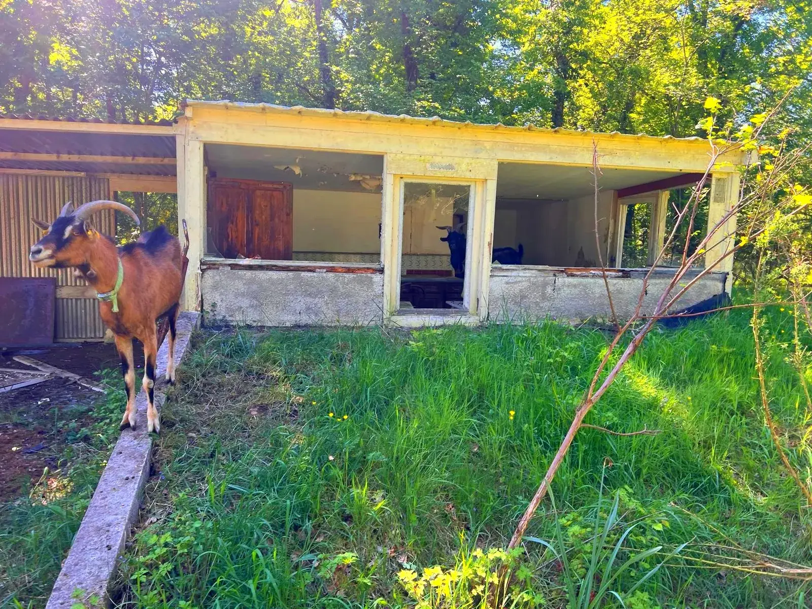 Terrain de loisirs à vendre à Germigny-des-Pres, proche de la Loire, à rénover 