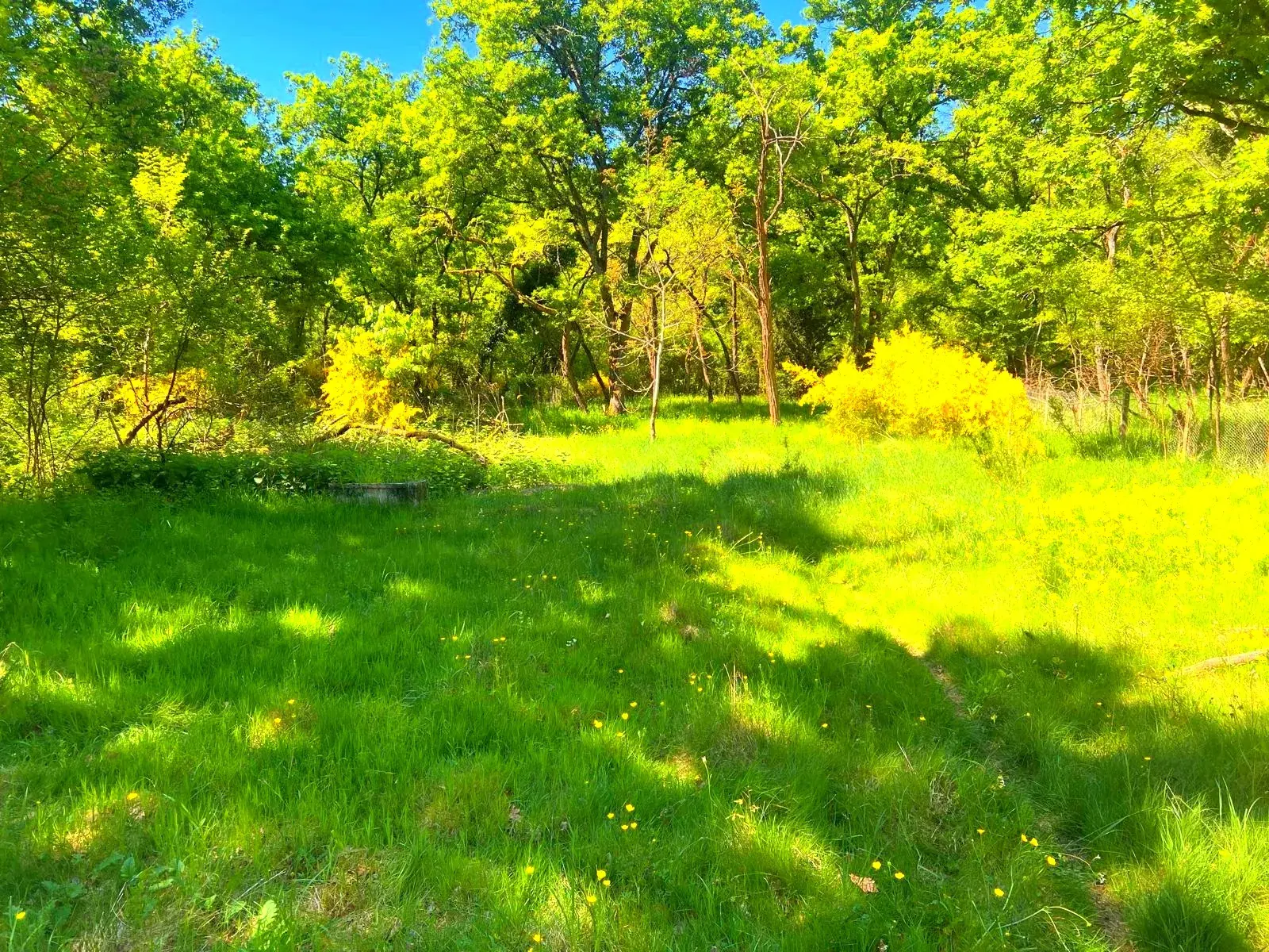 Terrain de loisirs à vendre à Germigny-des-Pres, proche de la Loire, à rénover 