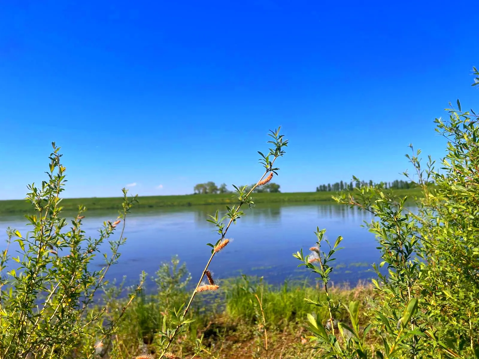 Terrain de loisirs à vendre à Germigny-des-Pres, proche de la Loire, à rénover 