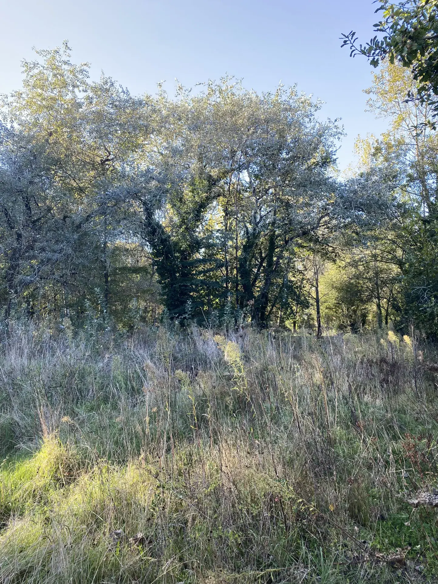 Terrain constructible de 4100 m² à Saint-Hilaire-de-Riez - Achat immobilier