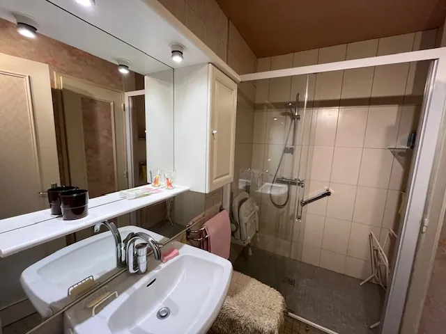 Maison avec deux logements à Semur-en-Auxois, jardin, garage, bon état 