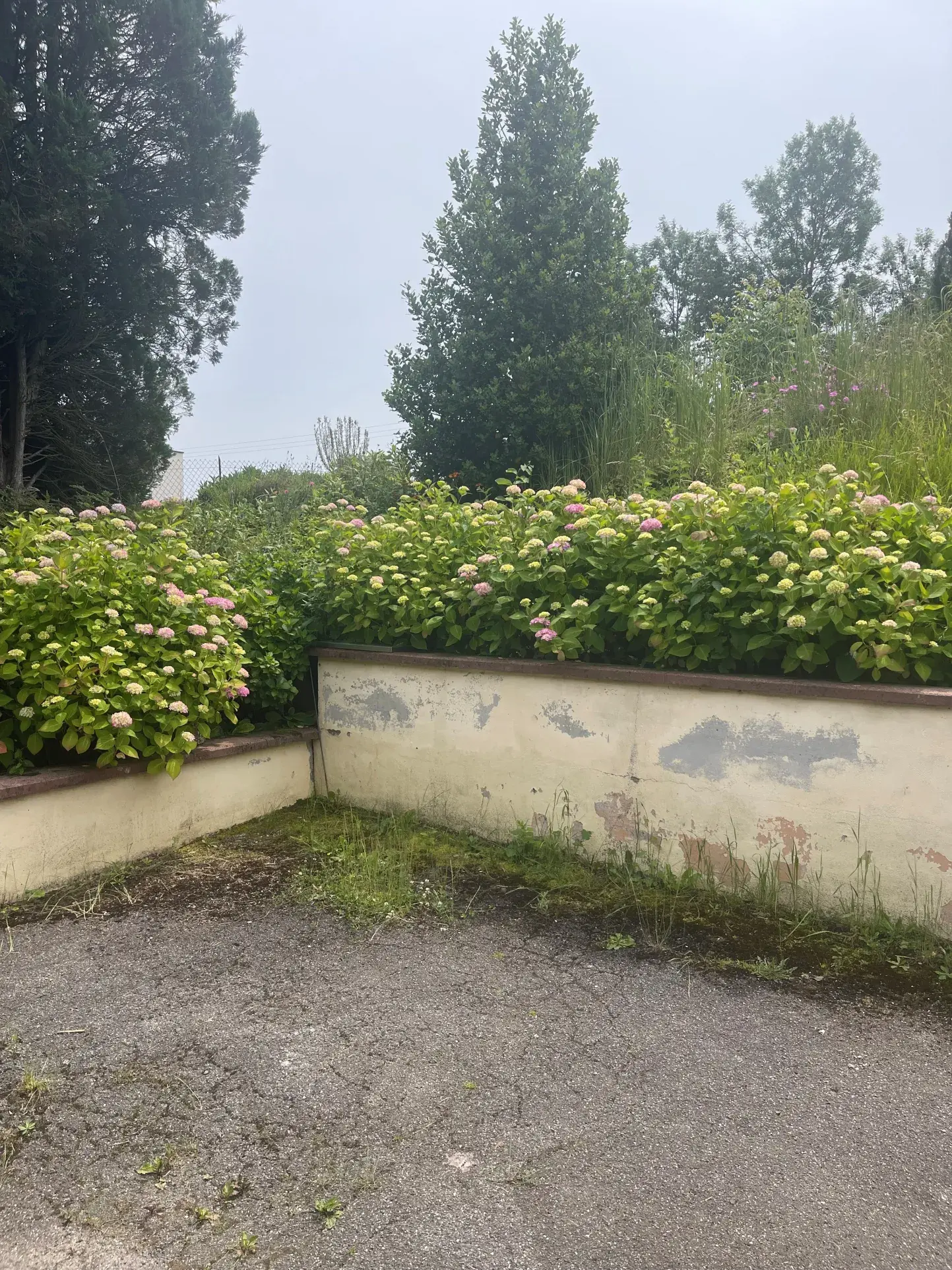 Maison à Manspach de 151 m2 avec potentiel de rénovation et terrasse couverte 