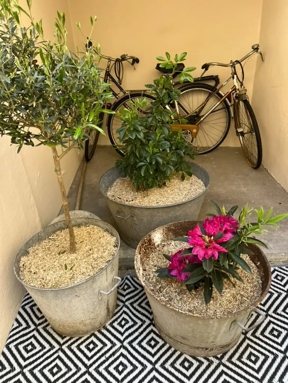 Appartement Type 2 rénové avec patio privé à Saint Pierre, Les Sables d'Olonne 