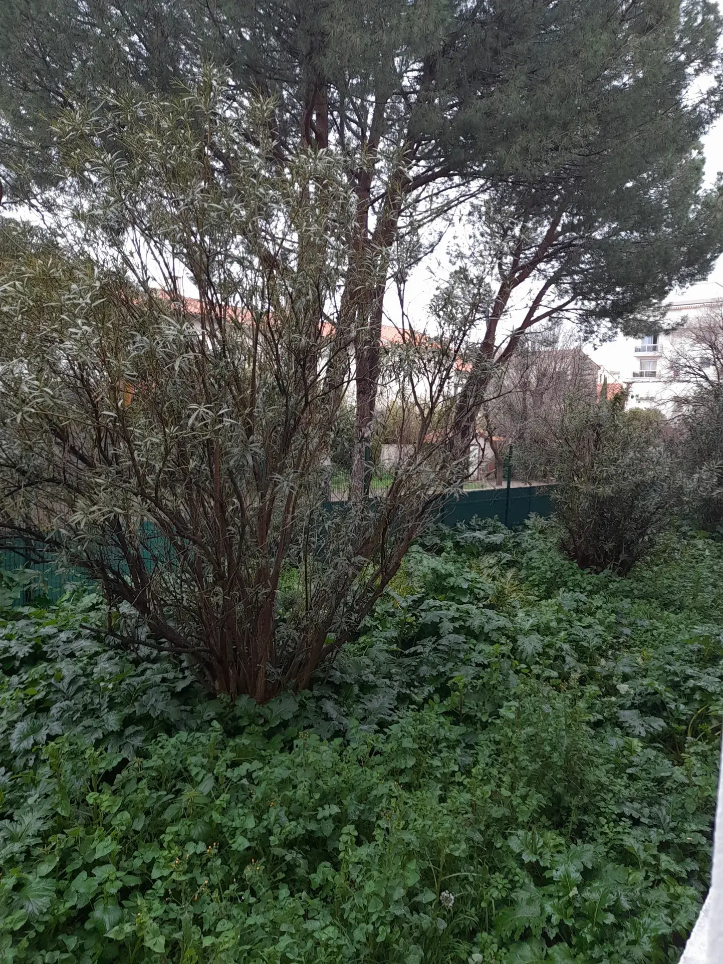 Appartement T2 rénové de 40 m² à Perpignan avec parking privé et vue sur jardin 