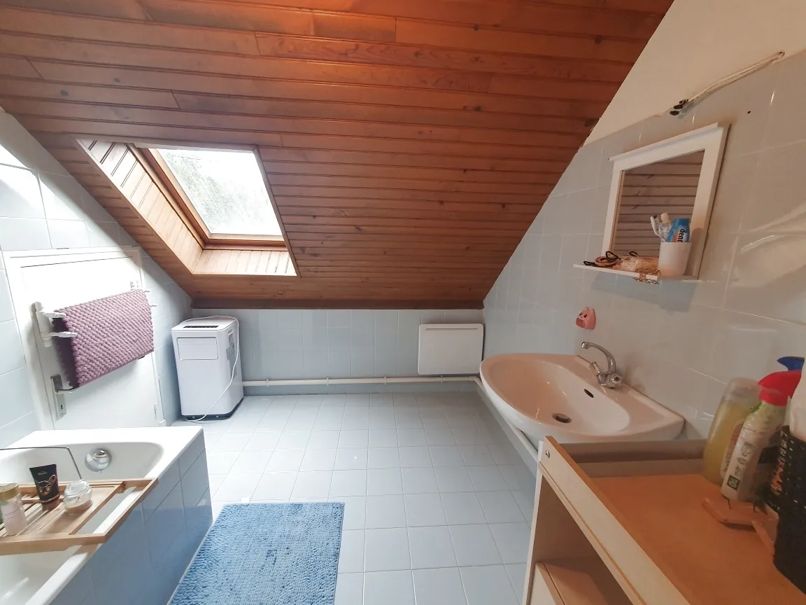 Belle maison familiale avec vue parc et grand jardin à Gros Chastang 