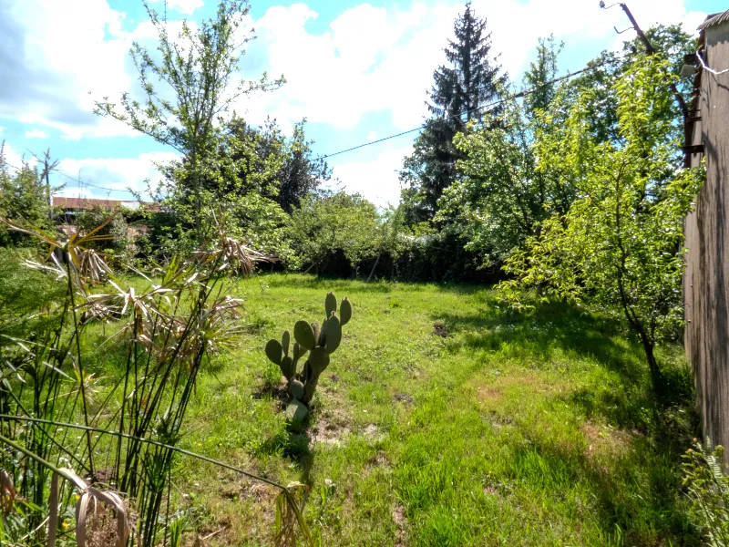 Maison à rénover de 69 m² avec terrain de 3052 m² à Saint-Vincent-sur-Graon 
