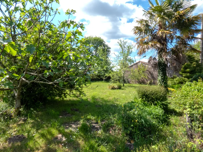 Maison à rénover de 69 m² avec terrain de 3052 m² à Saint-Vincent-sur-Graon 