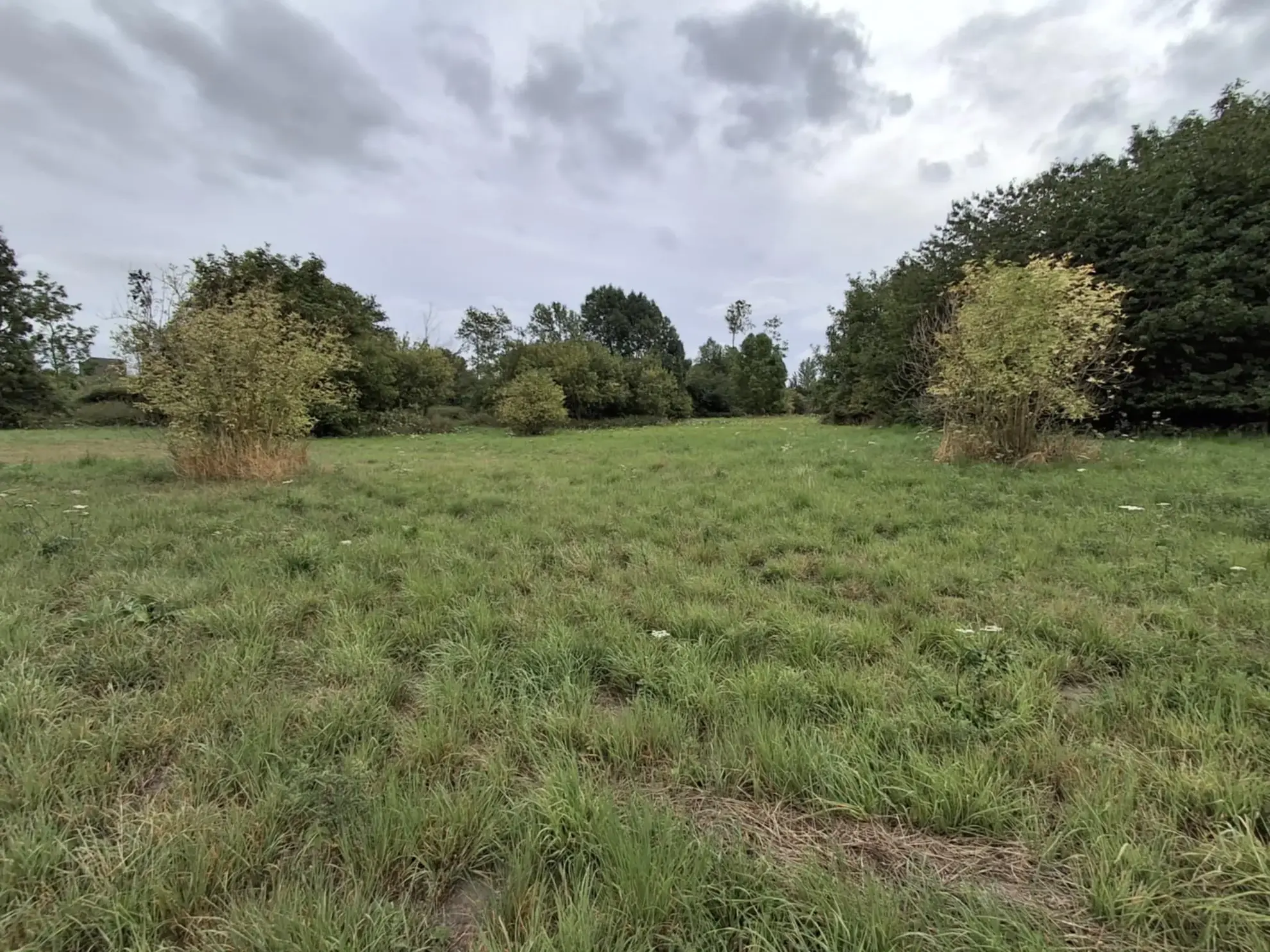Terrain constructible de 10 000 m² à Saint Hilaire Cottes