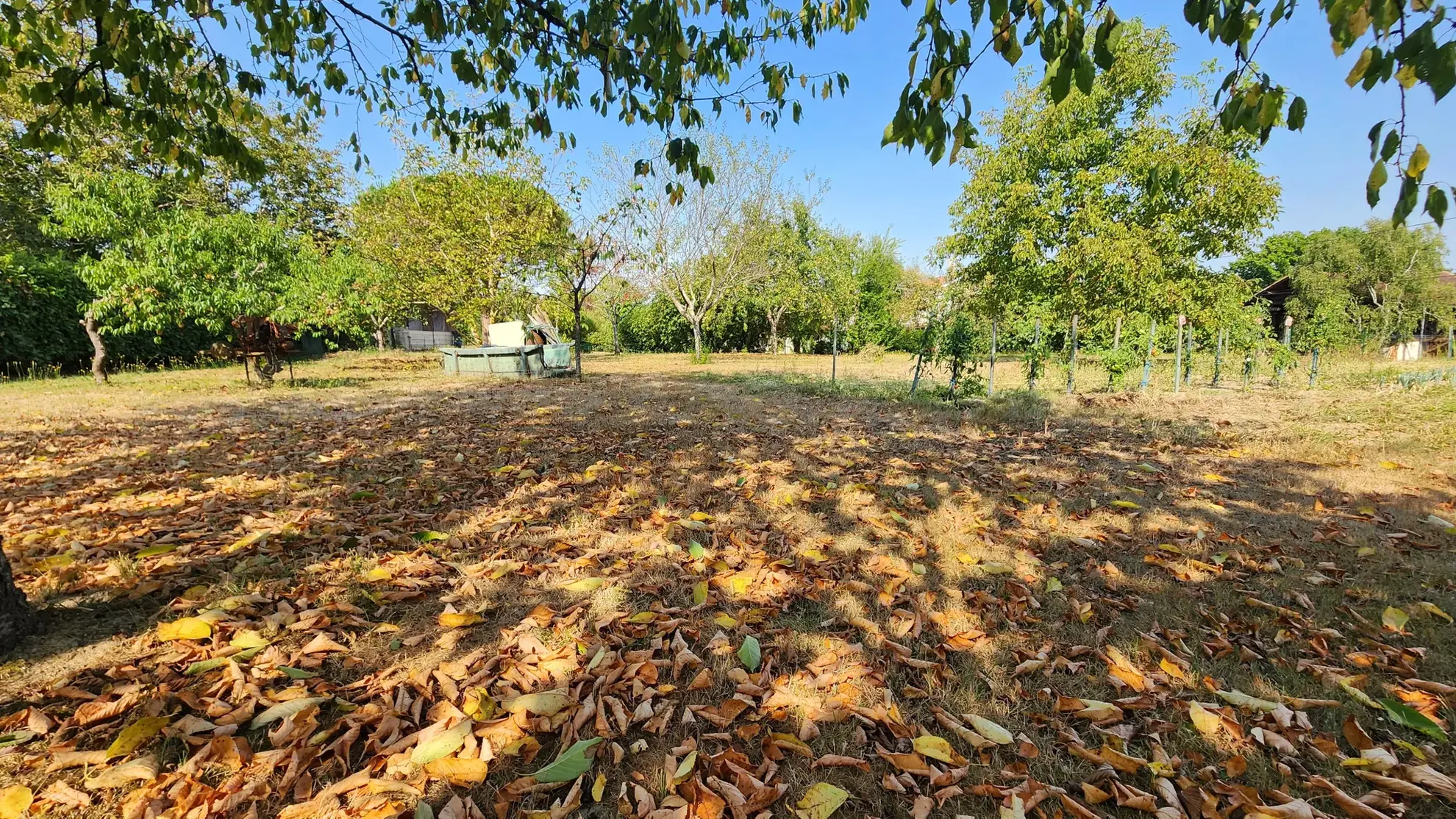 Maison de village à vendre à Marseillan avec 3 chambres, jardin et garage 