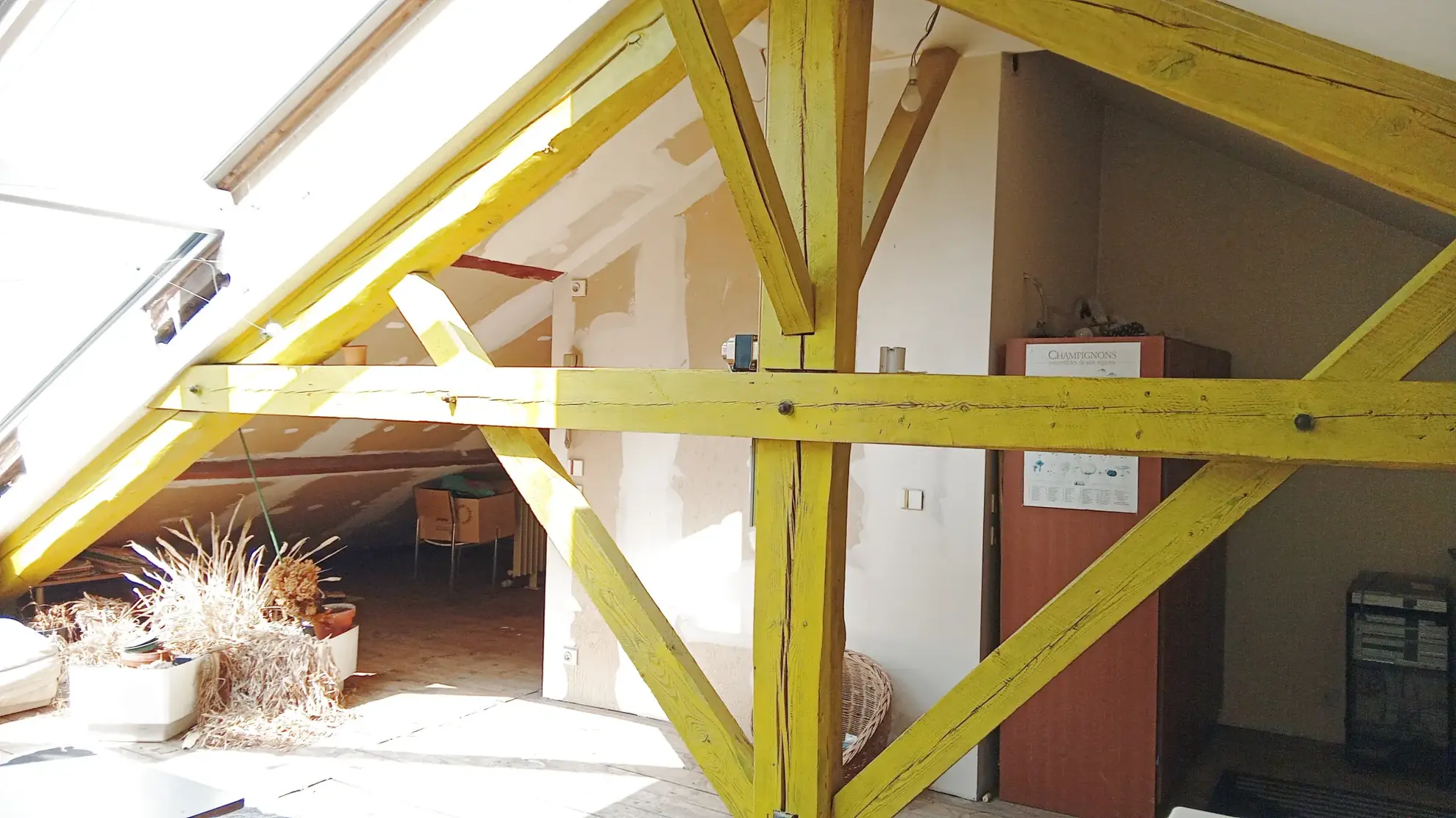 Magnifique duplex d'architecte à Millau avec grande pièce de vie mansardée 