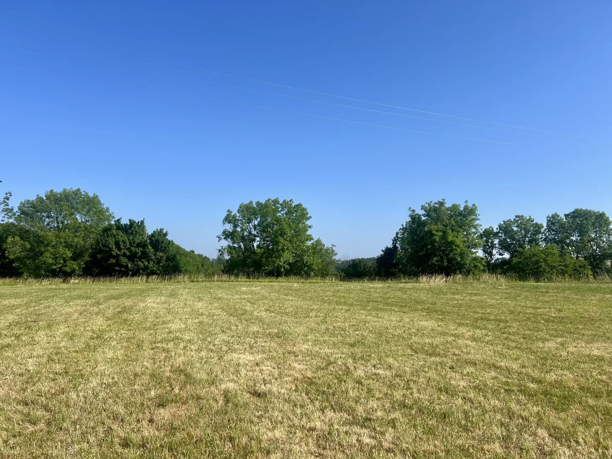 Terrain constructible 1278 m² au cœur du Périgord Noir - Chavagnac 