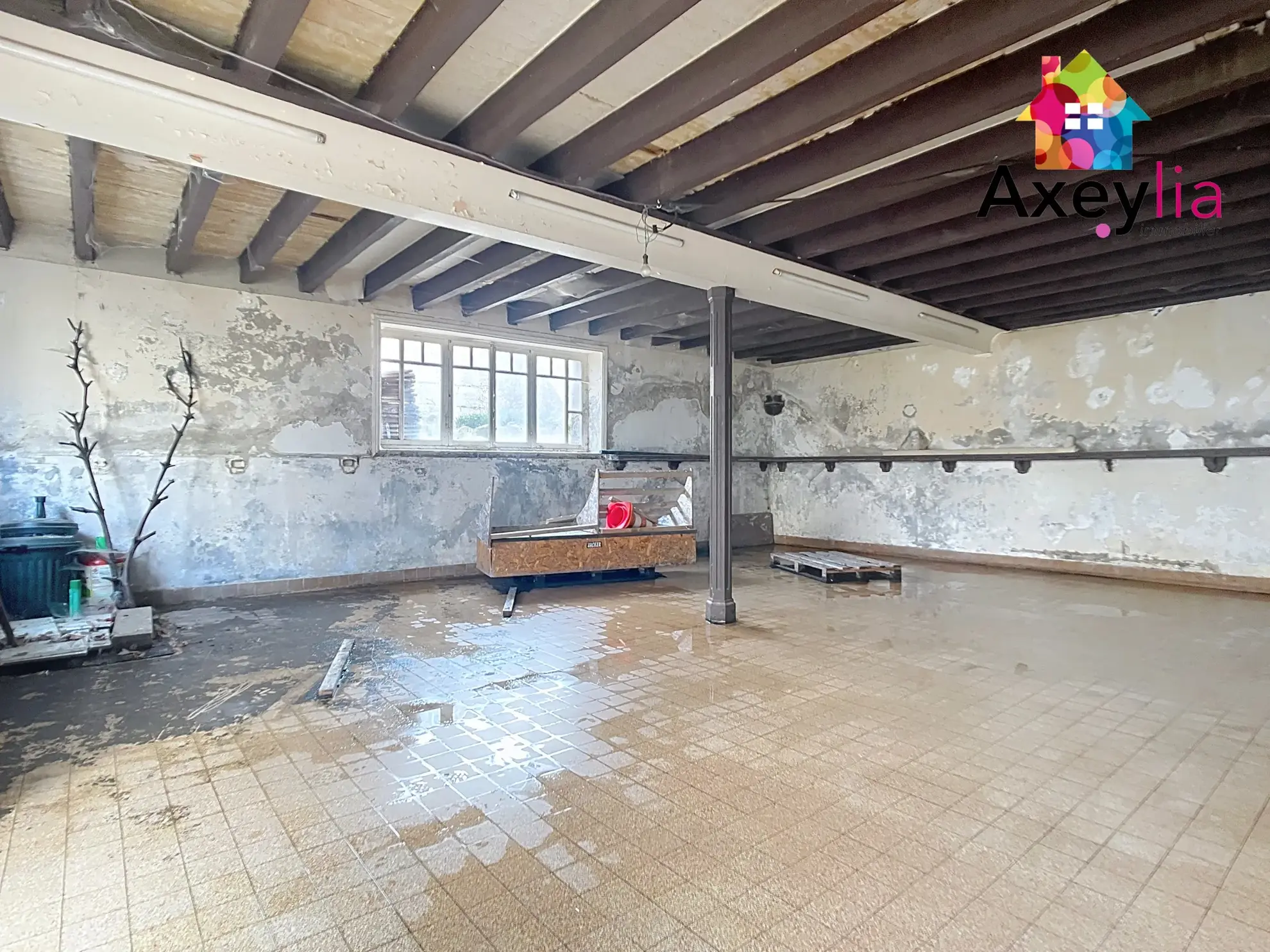 Appartement à rénover de 150 m² avec terrasse à Cuinzier 
