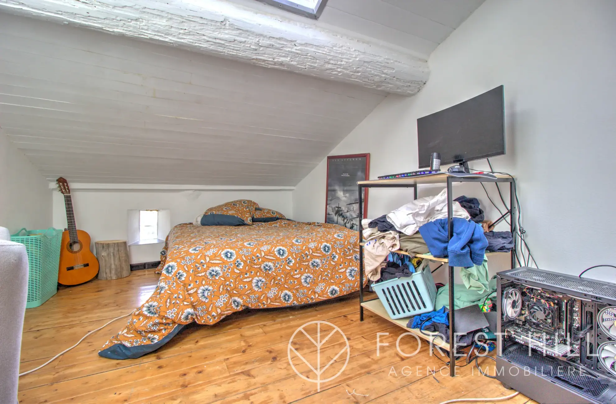 Triplex authentique à Céret avec terrasse et charme du bois et pierre 