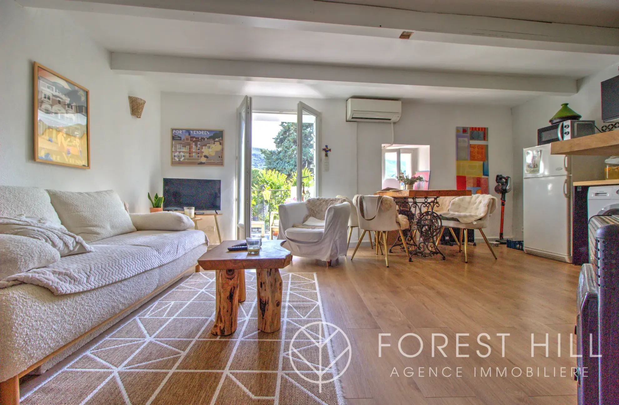 Triplex authentique à Céret avec terrasse et charme du bois et pierre 