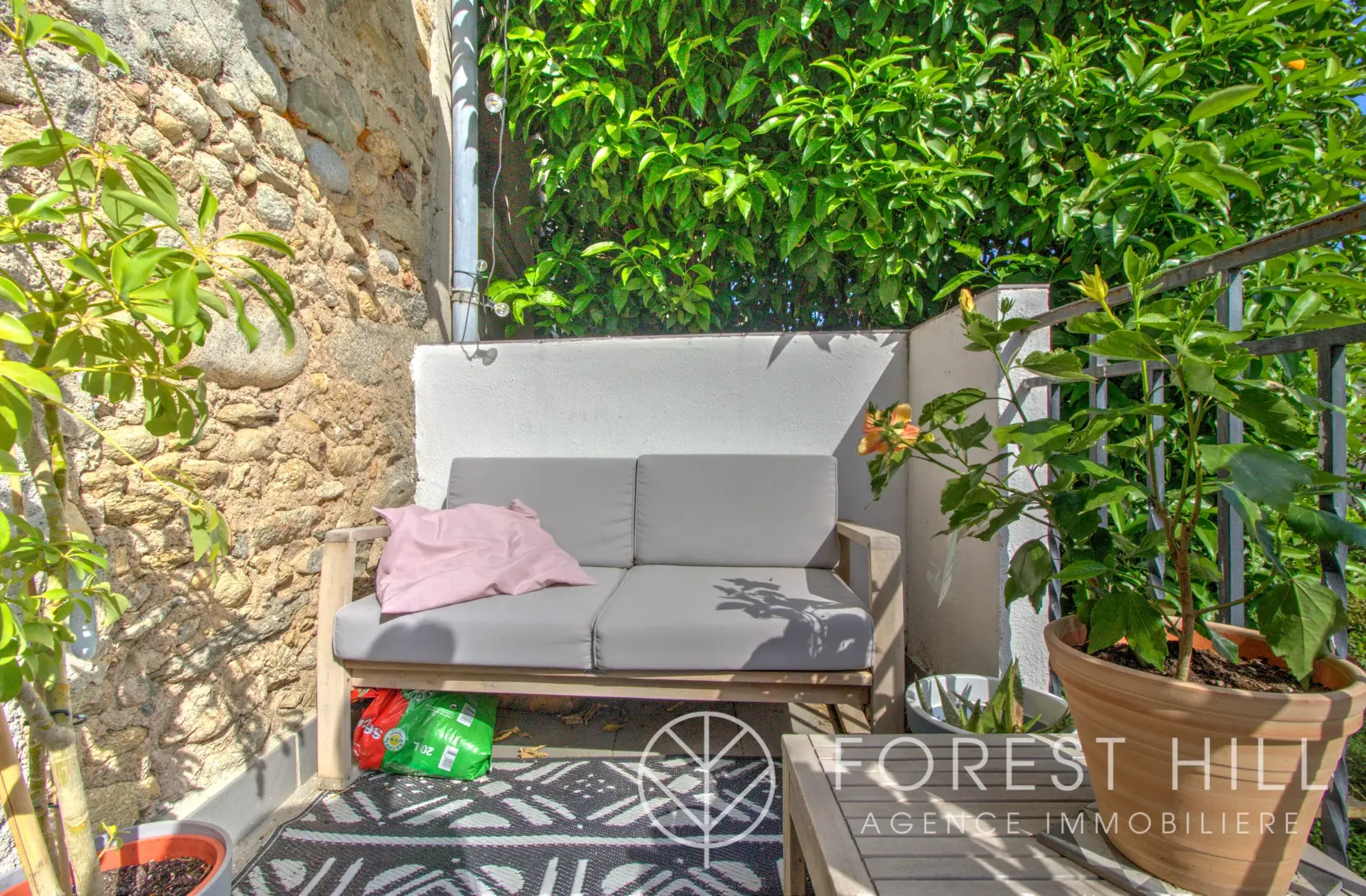 Triplex authentique à Céret avec terrasse et charme du bois et pierre 