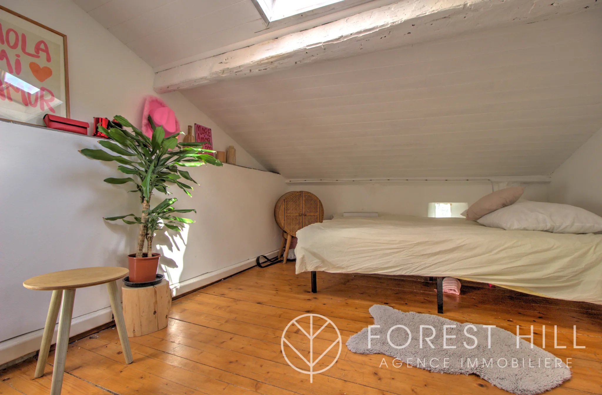 Triplex authentique à Céret avec terrasse et charme du bois et pierre 