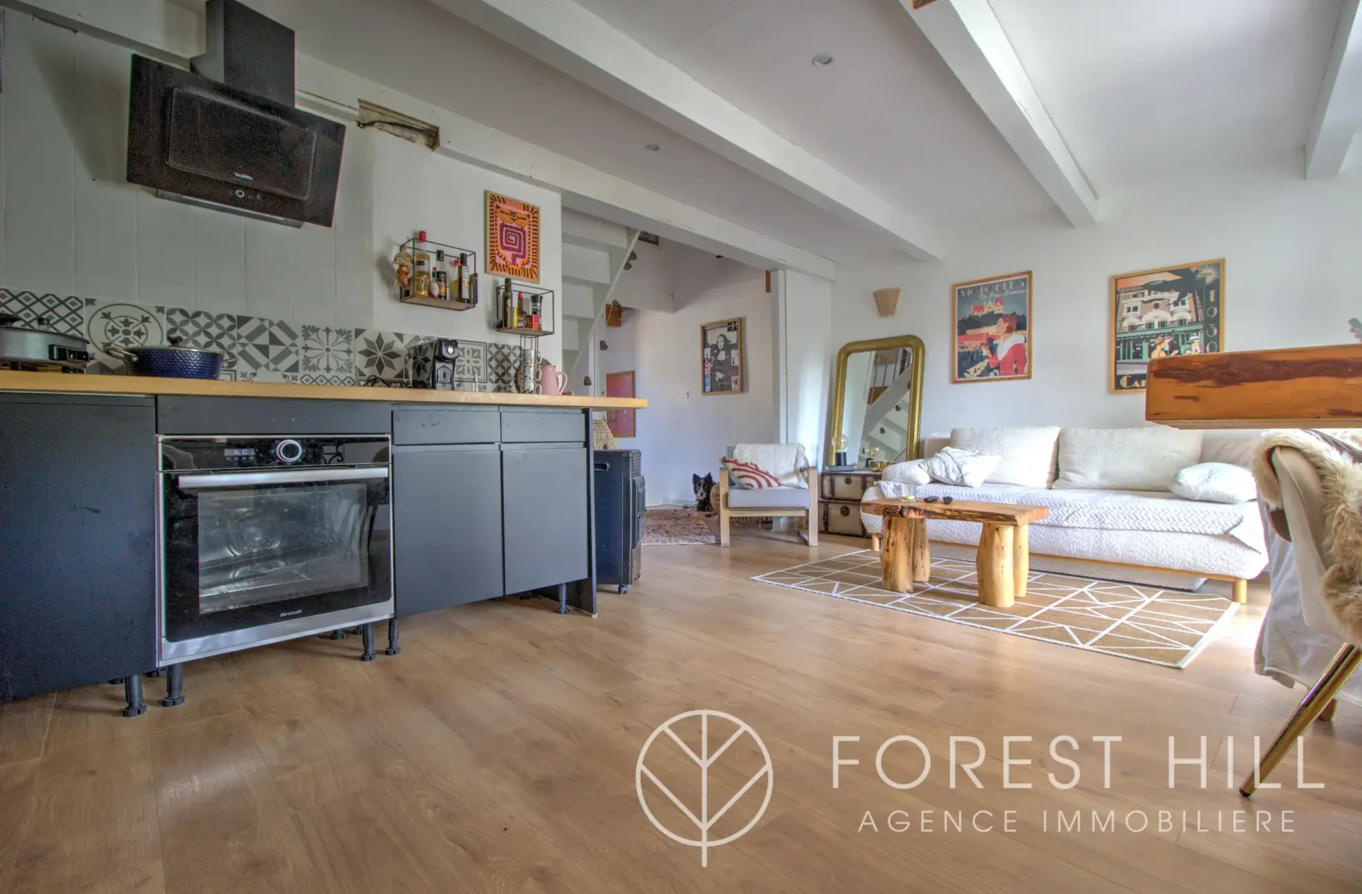 Triplex authentique à Céret avec terrasse et charme du bois et pierre 