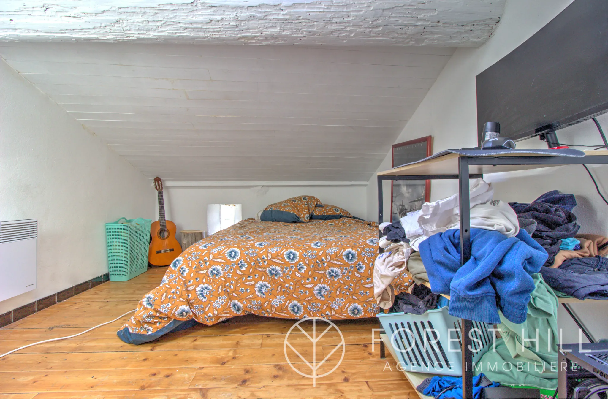 Triplex authentique à Céret avec terrasse et charme du bois et pierre 