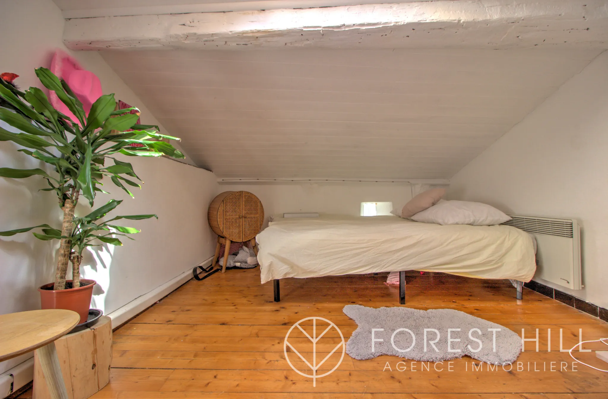 Triplex authentique à Céret avec terrasse et charme du bois et pierre 