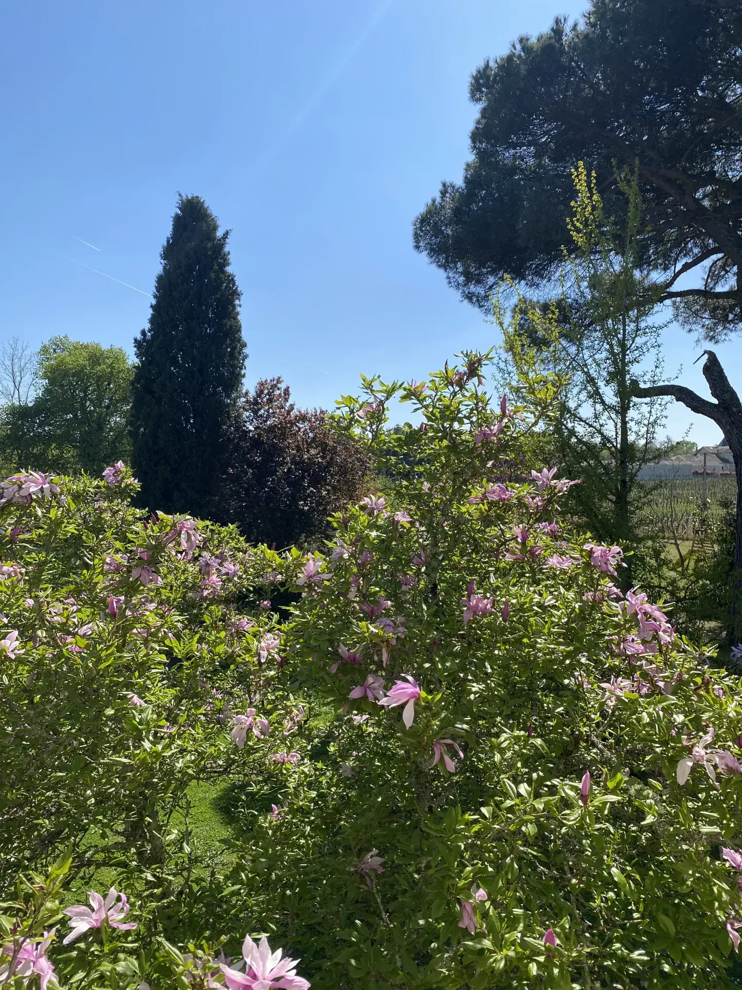 Charmante maison en pierre avec piscine et grand parc à Perissac 
