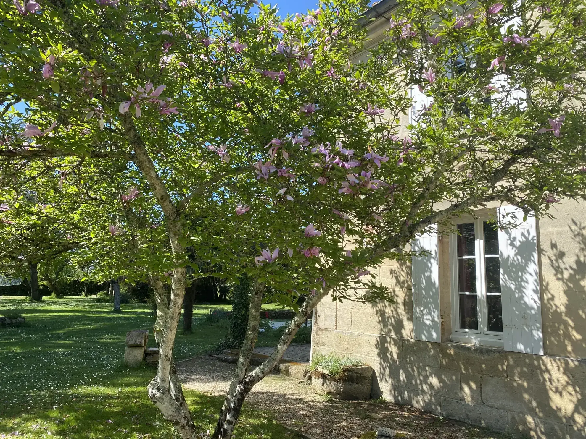 Charmante maison en pierre avec piscine et grand parc à Perissac 