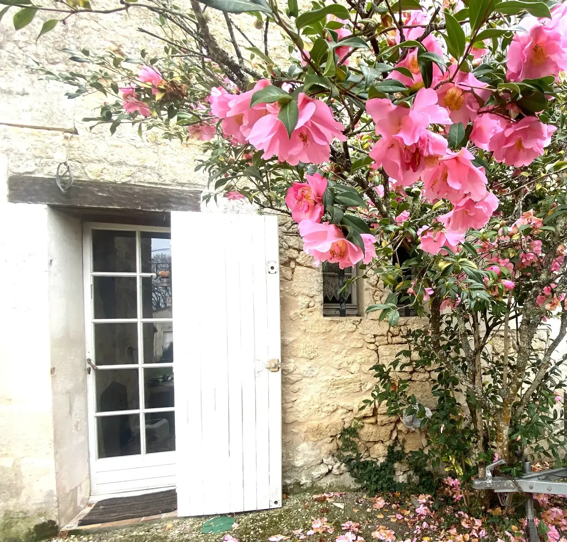 Charmante maison en pierre avec piscine et grand parc à Perissac 