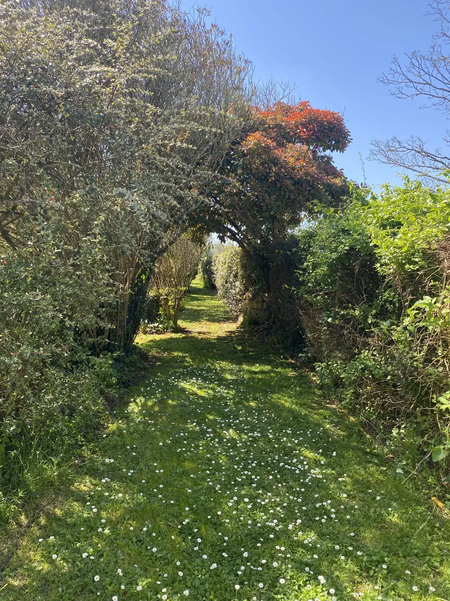 Charmante maison en pierre avec piscine et grand parc à Perissac 