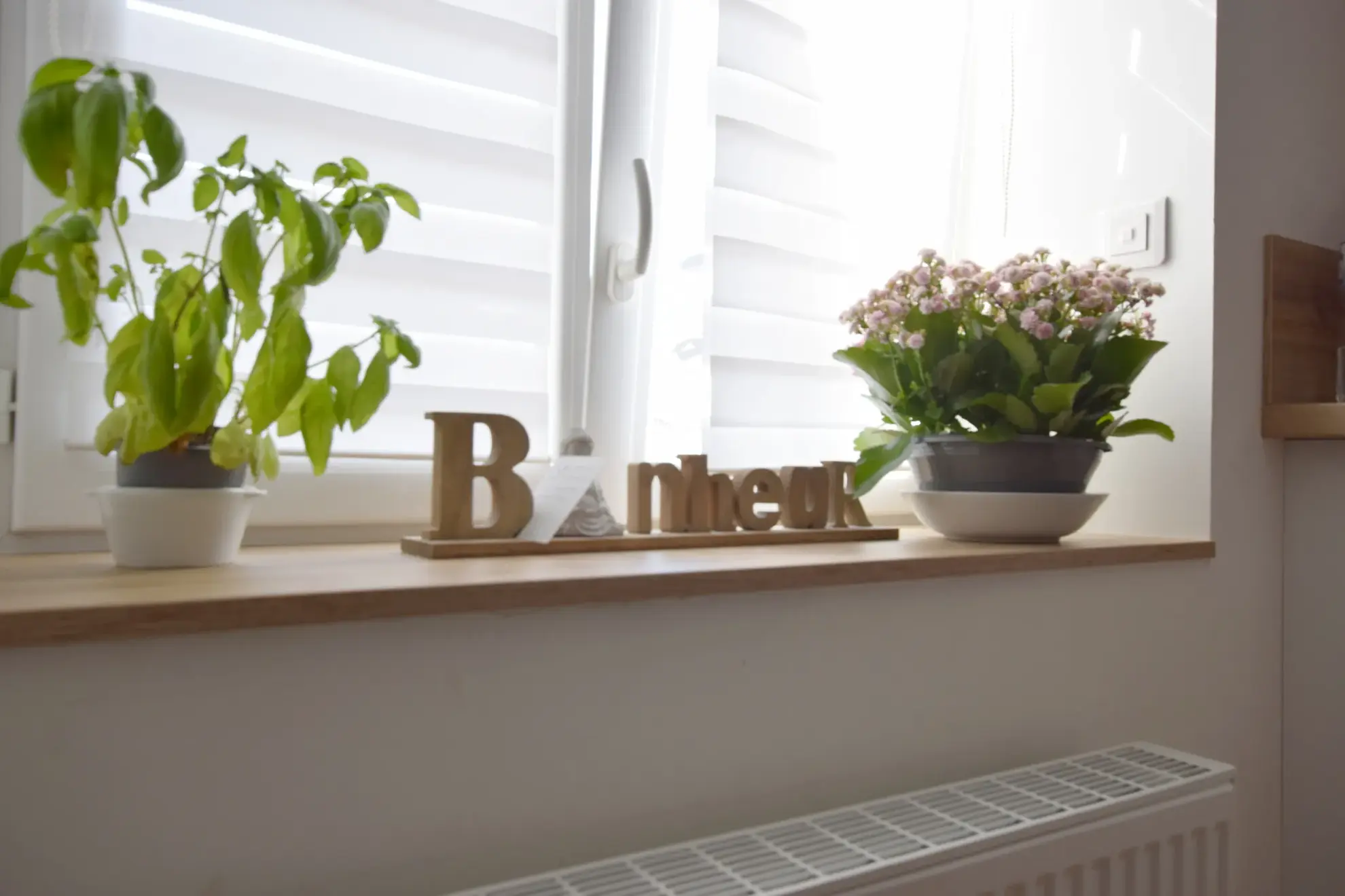 Maison rénovée avec 5 chambres, jardin et garage à Vieux-Charmont (25600) 